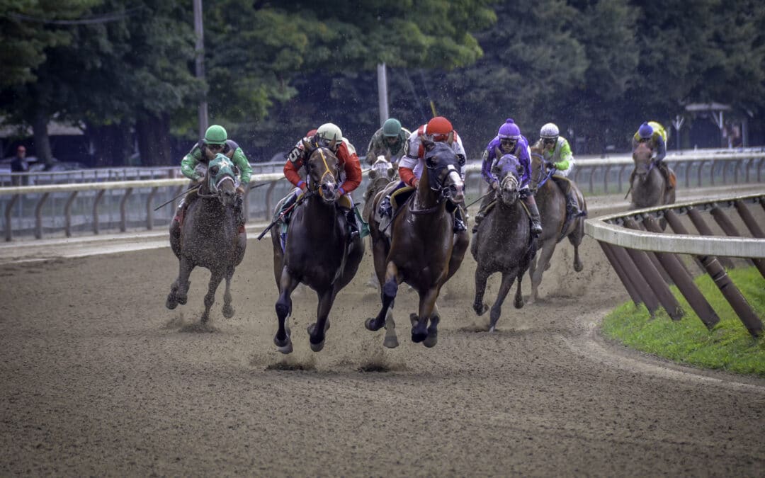 How to Bet on Horse Racing & Win