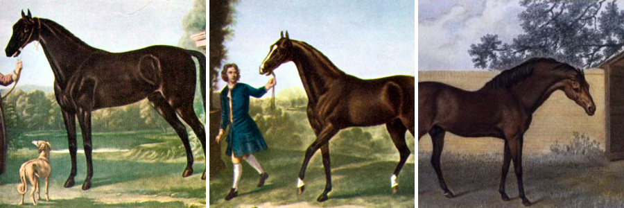 Three paintings of the foundational sires of the Thoroughbred; from left to right: the Byerley Turk, the Darley Arabian and the Godolphin Arabian