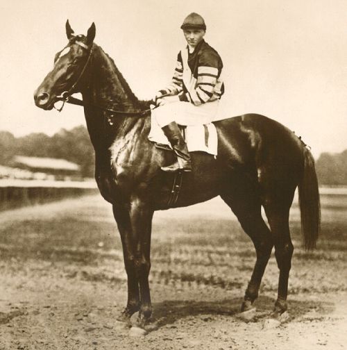 Photograph of Man o' War taken in 1920; Man o' War was a major figure in the history of horse racing.