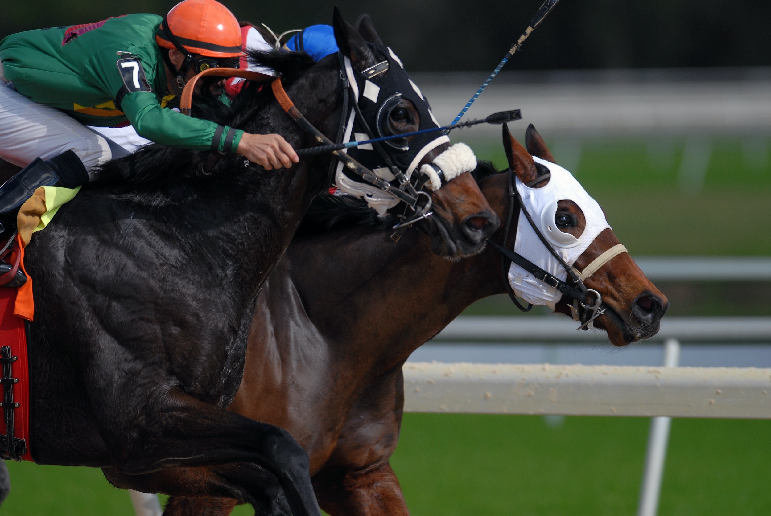 Closeup of two jockeys on their horses during a race at Tampa Bay Downs