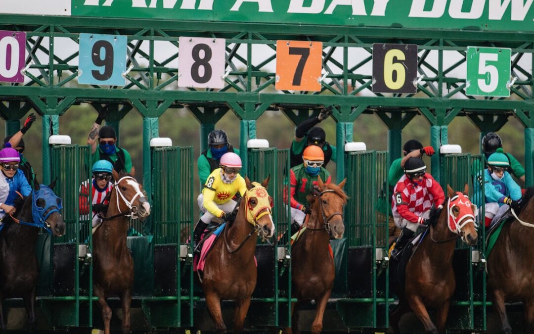 What Does SCR Mean in Horse Racing and Betting?