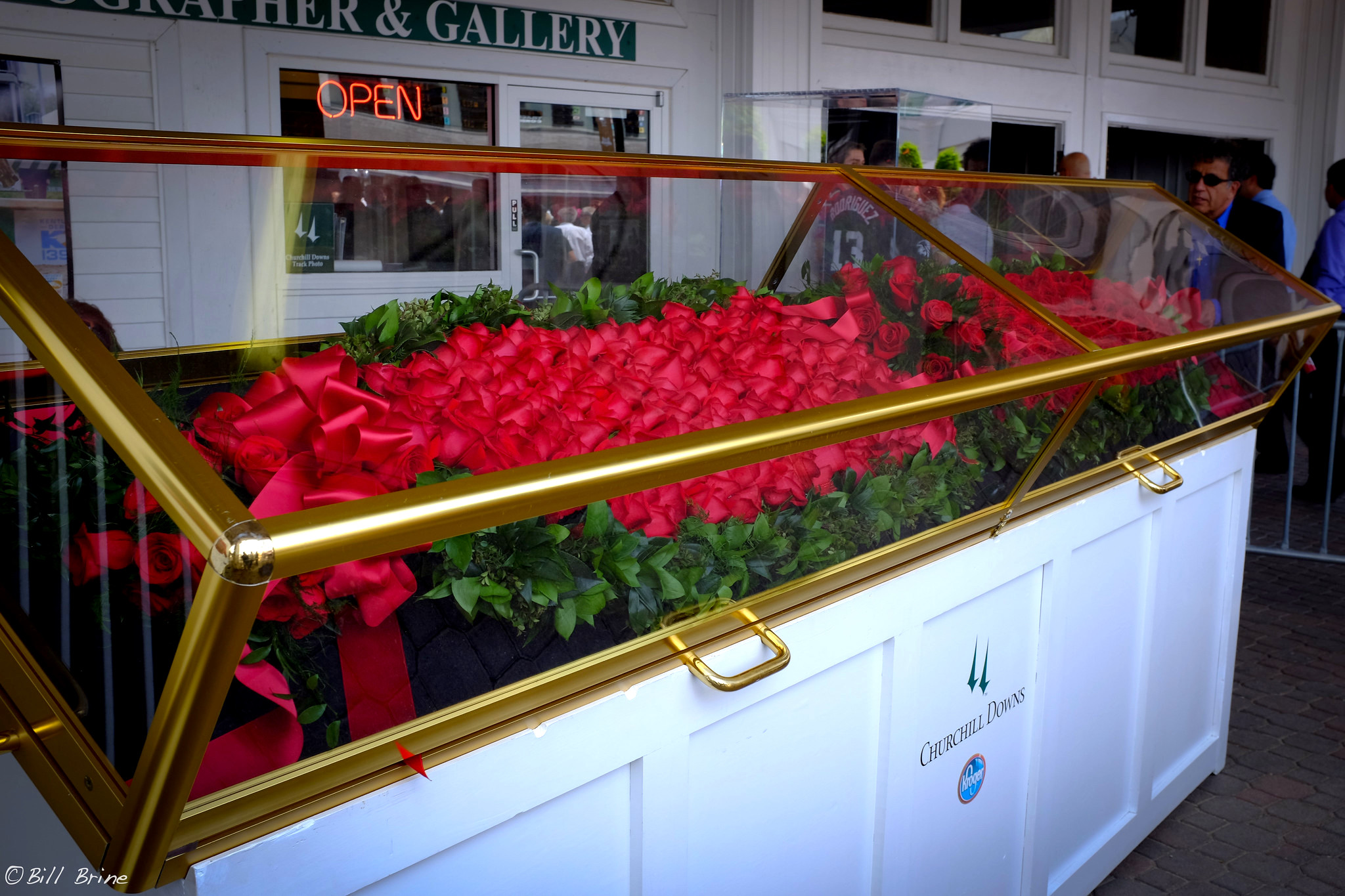Red roses at the Kentucky Derby. Photo by Bill Brine.