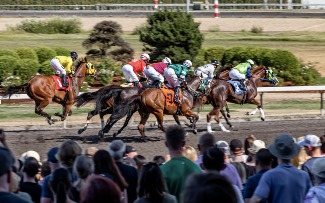 Post Time Explained: What Post Time Means in a Horse Racing Schedule