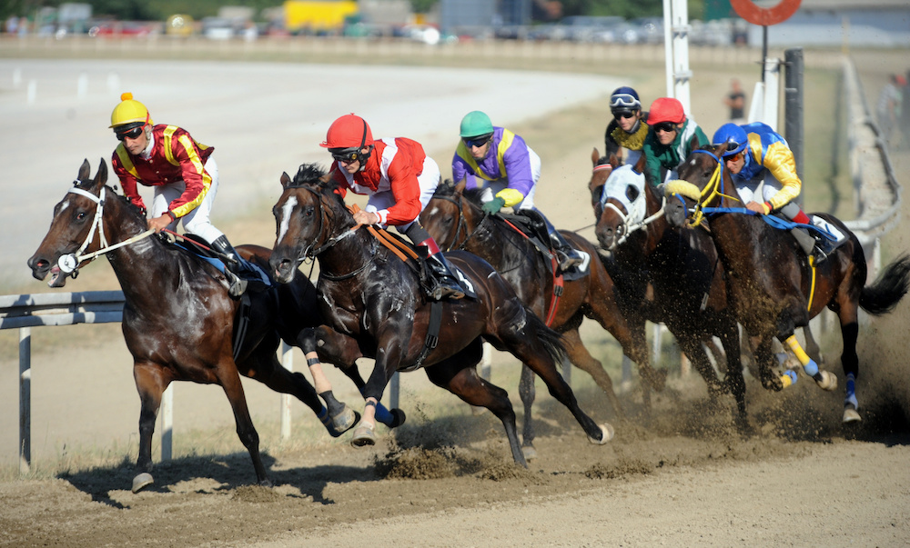 Group of horses at a race with jockeys